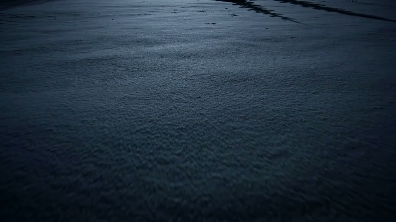 月下雪原 — AI video creation