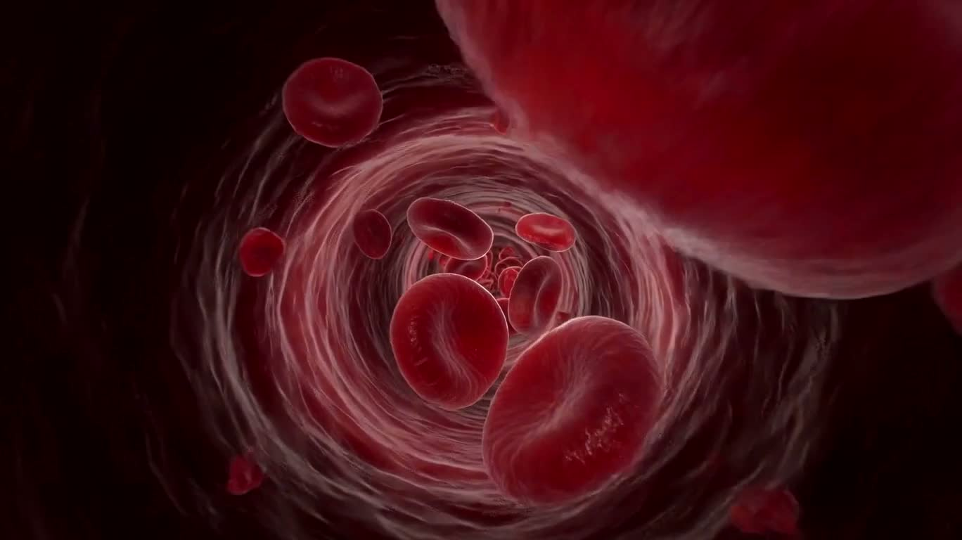 Red Blood Cells Traveling Through Vascular Tunnels — AI video creation