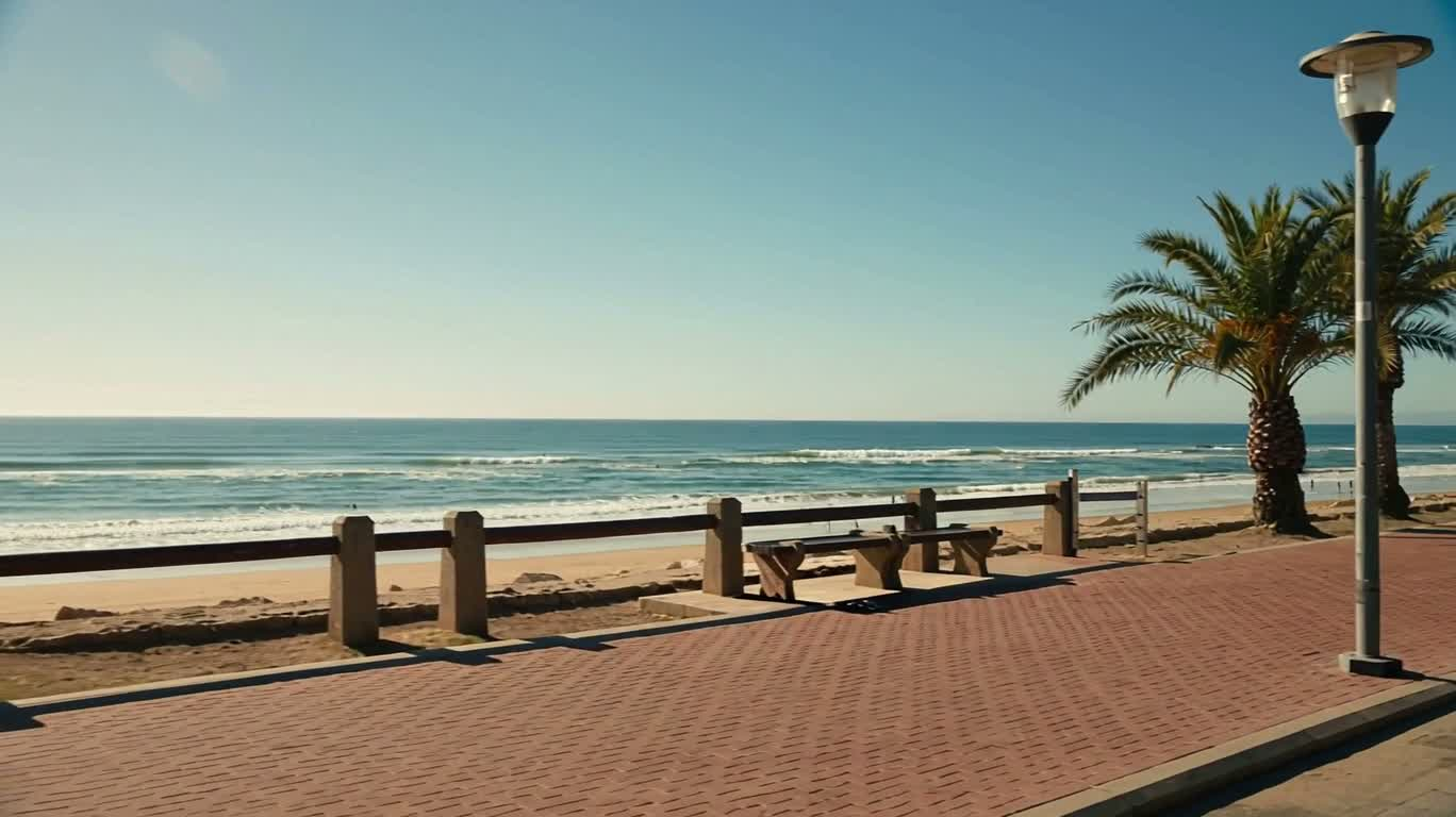 海岸步道上的棕榈树