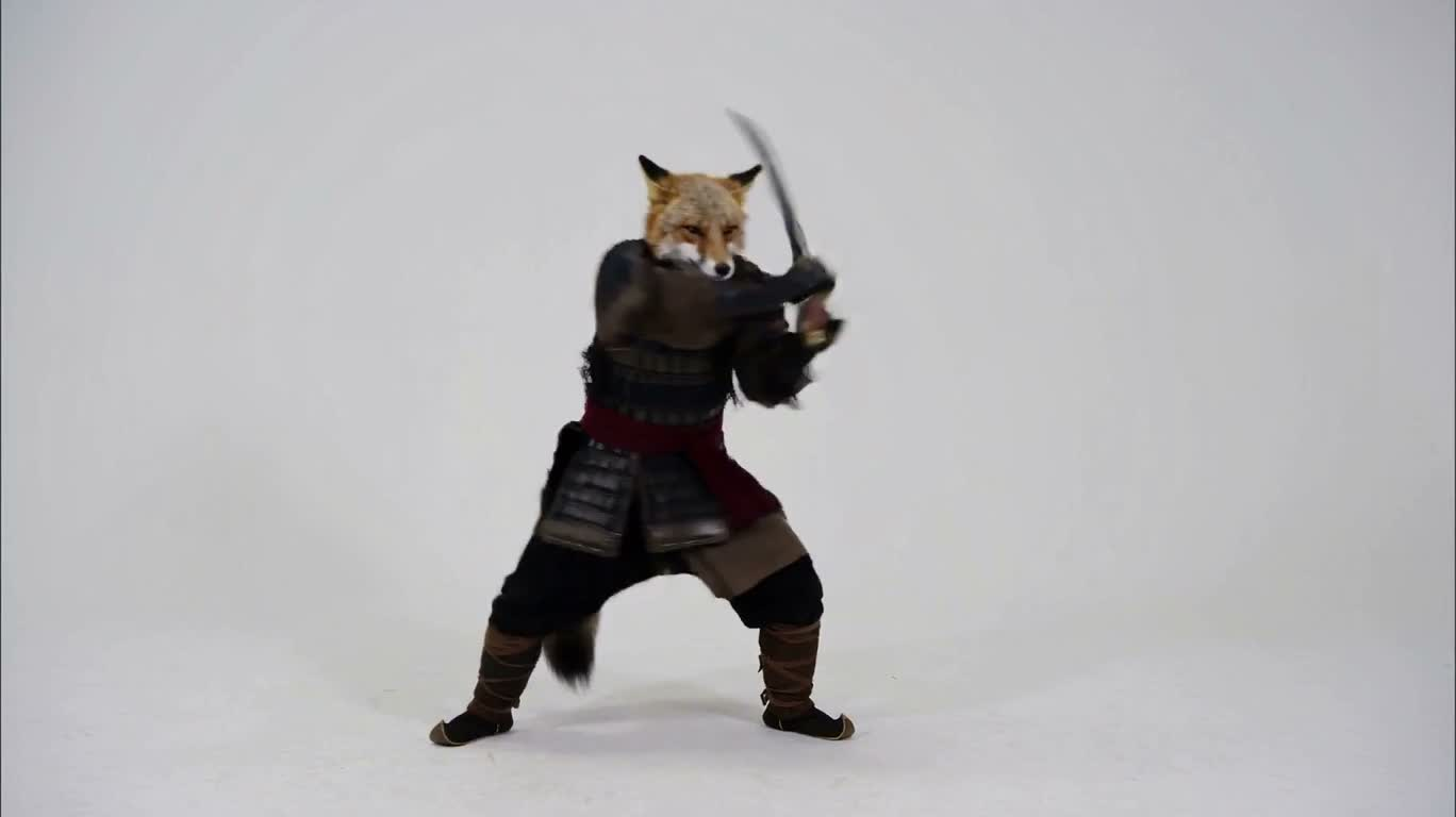 极简白棚中的狐族战士 — AI video creation