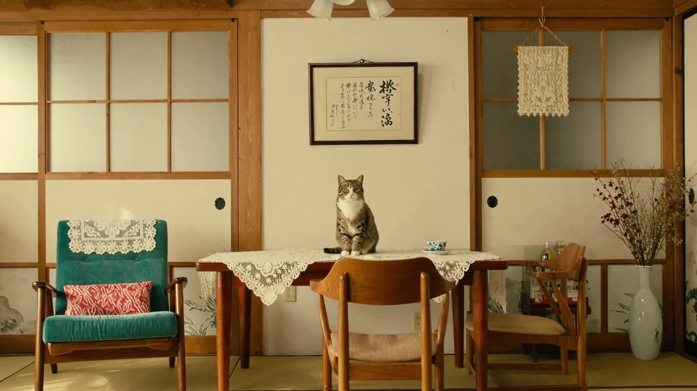 昭和怀旧猫咪广告 — AI video creation