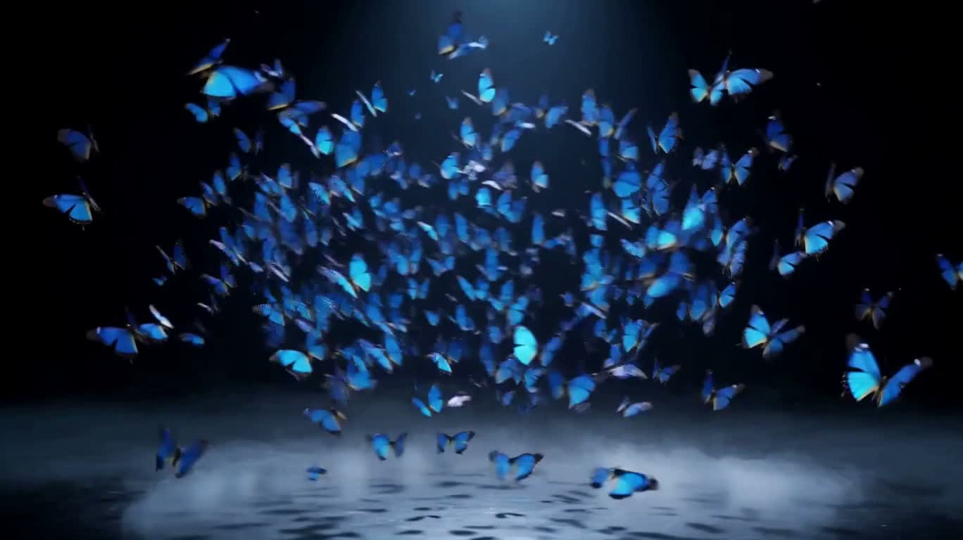 蓝色蝶群化身幻翼舞者