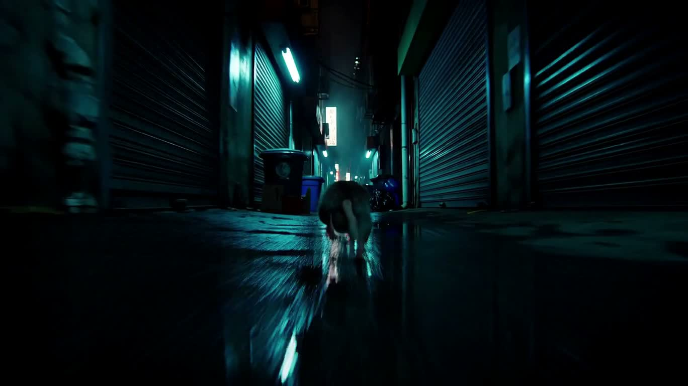 ネオン雨の路地:ネズミの猛ダッシュ — AI video creation
