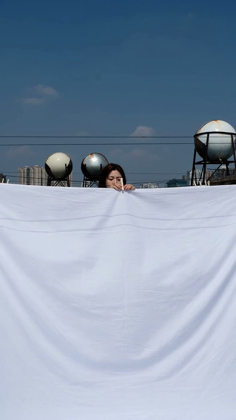 Bedsheets Like Flags in the Rooftop Wind