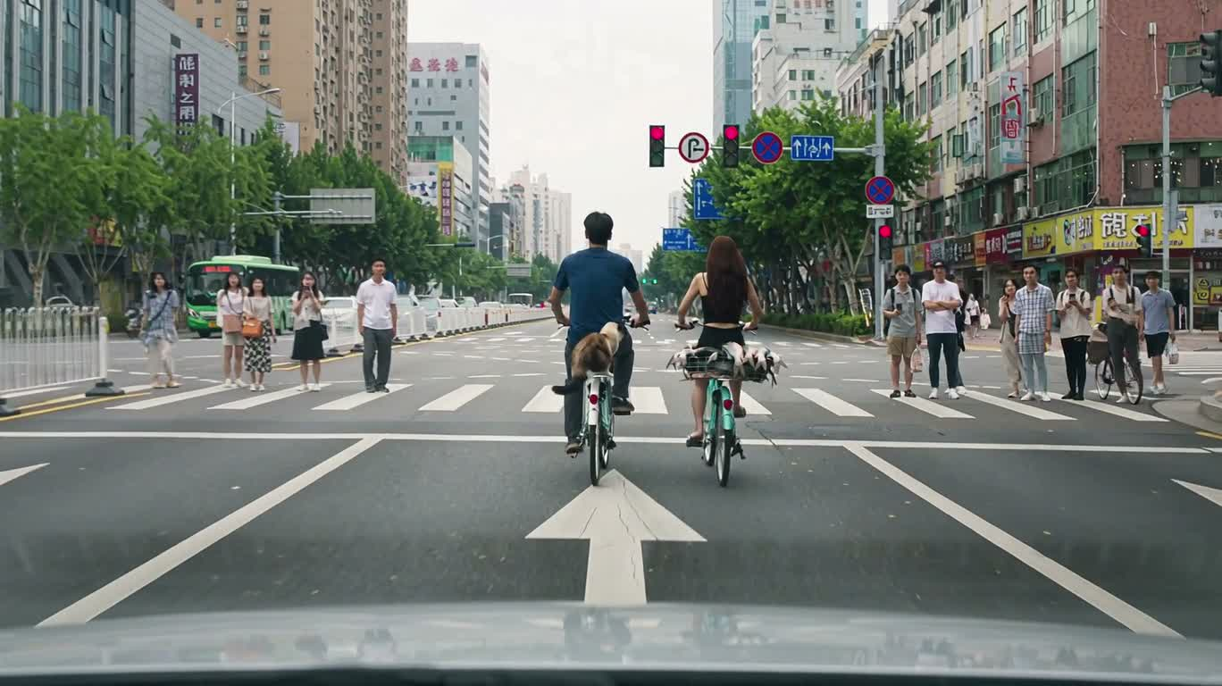 红灯下布偶猫偷鱼被喇叭吓退 — AI video creation