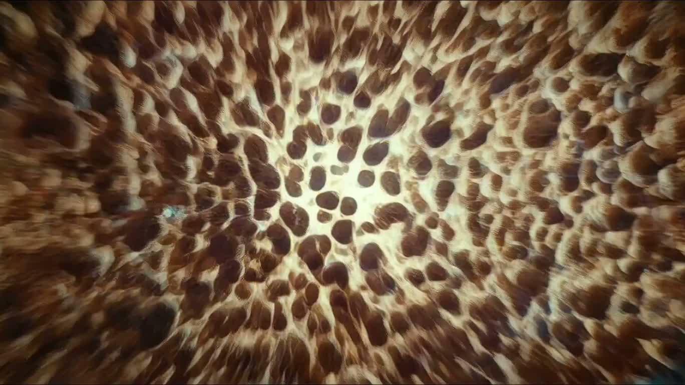 沙海能量跃迁:霓虹都市 — AI video creation