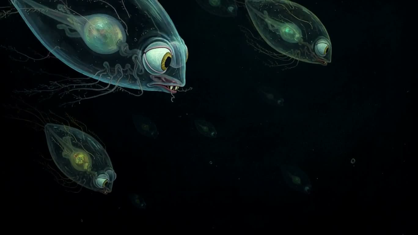 幽暗奇趣的野性浮游生物