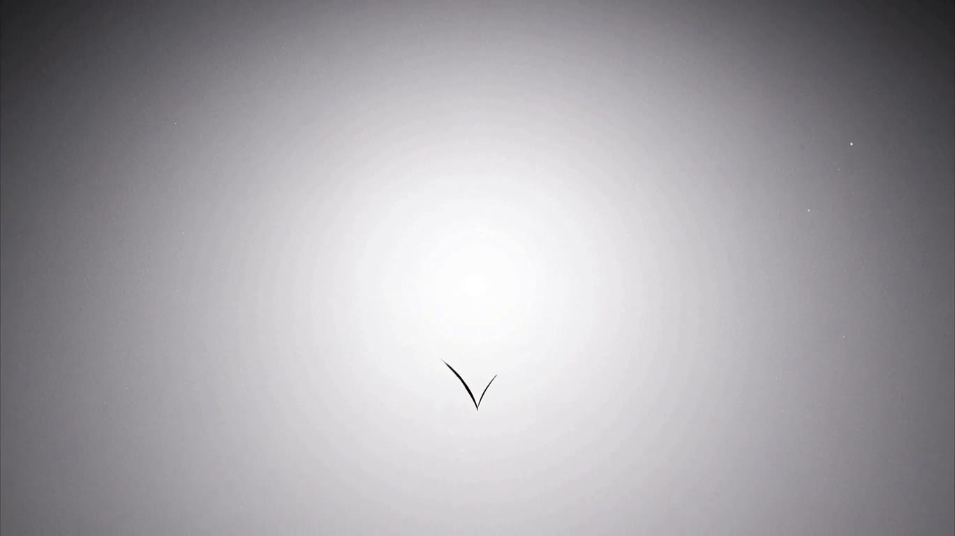 荆棘玫瑰之心矢量标志动画 — AI video creation