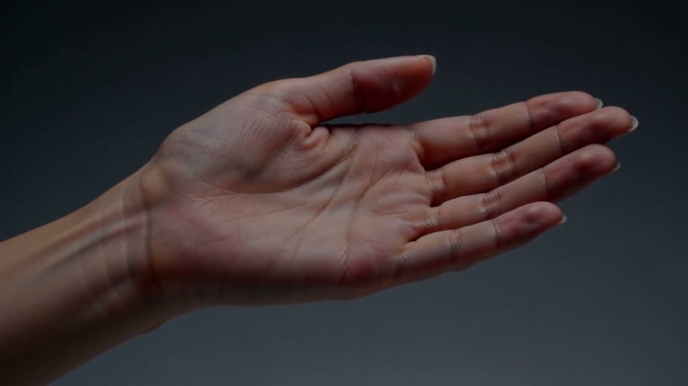 Elegant Images of Palm Details — AI video creation