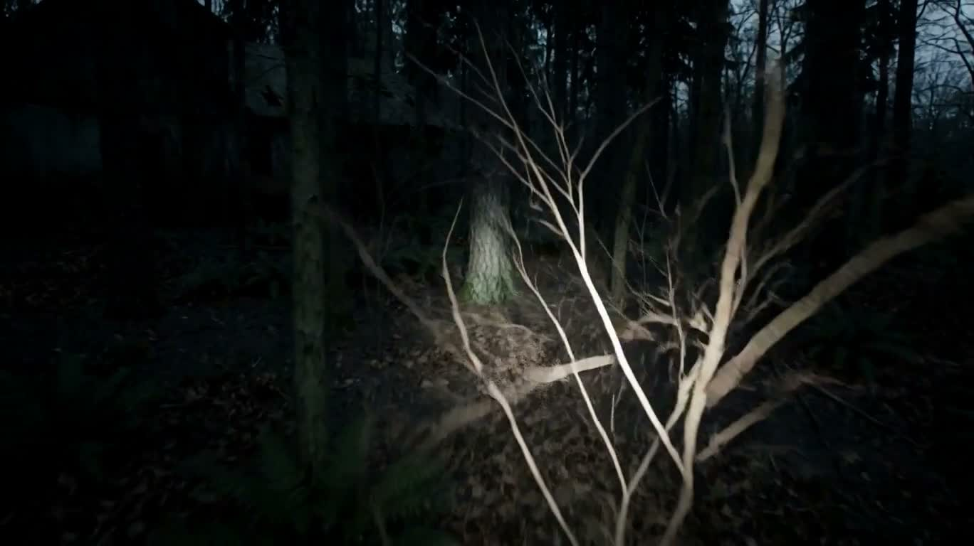 废弃森林屋的手电惊魂 — AI video creation